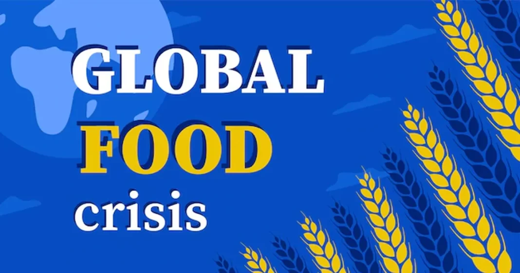 The Global Food Uncertainty: Challenges, Solutions, and Agricultural Resilience