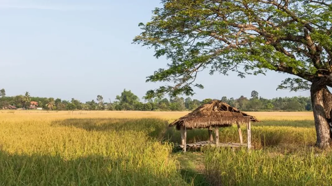 Bangladesh’s Current Status of Food and Future Prospects for Food Self-Sufficiency