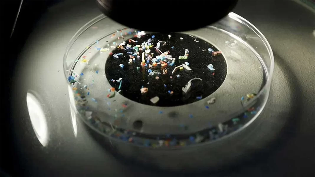 Â Microplastics Found in the Human Penis: A Groundbreaking Discovery and Its Implications