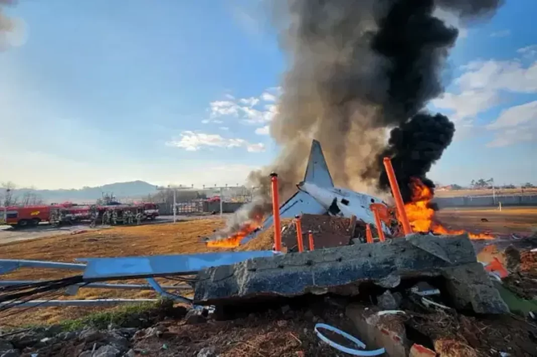 South Korea Plane Crash: 179 Dead After Bird Strike Warning, Authorities Investigate Cause