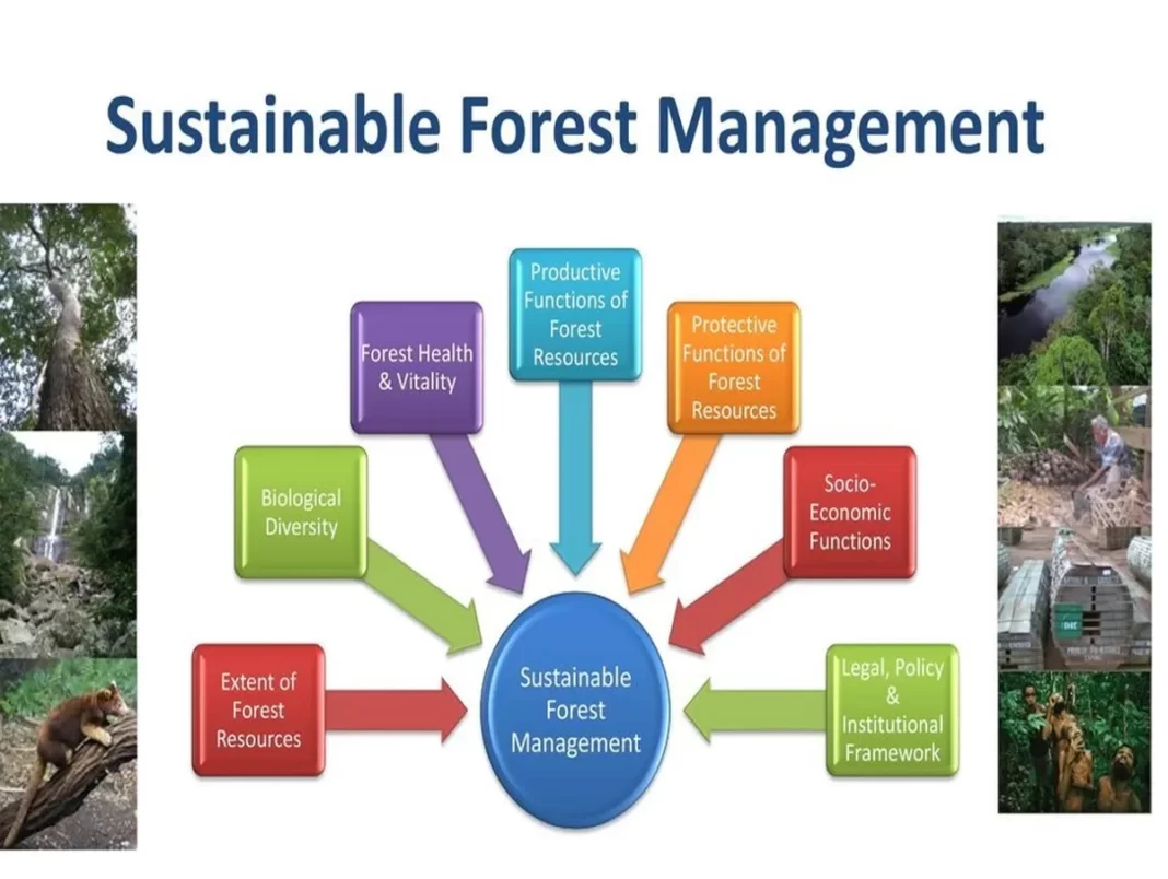 The Importance of Agroforestry and Its Future Prospects