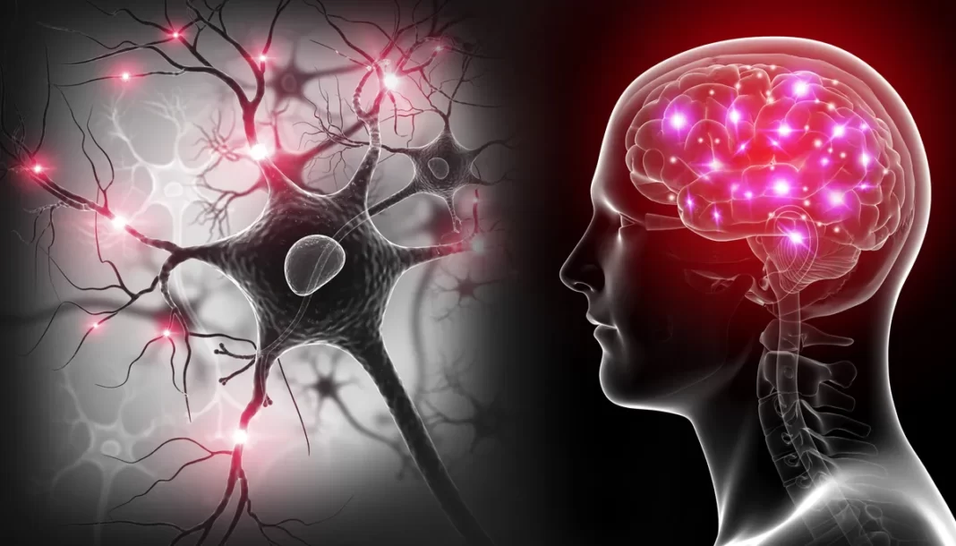 What Happens in the Brain Just Before Death? Scientists Reveal New Findings