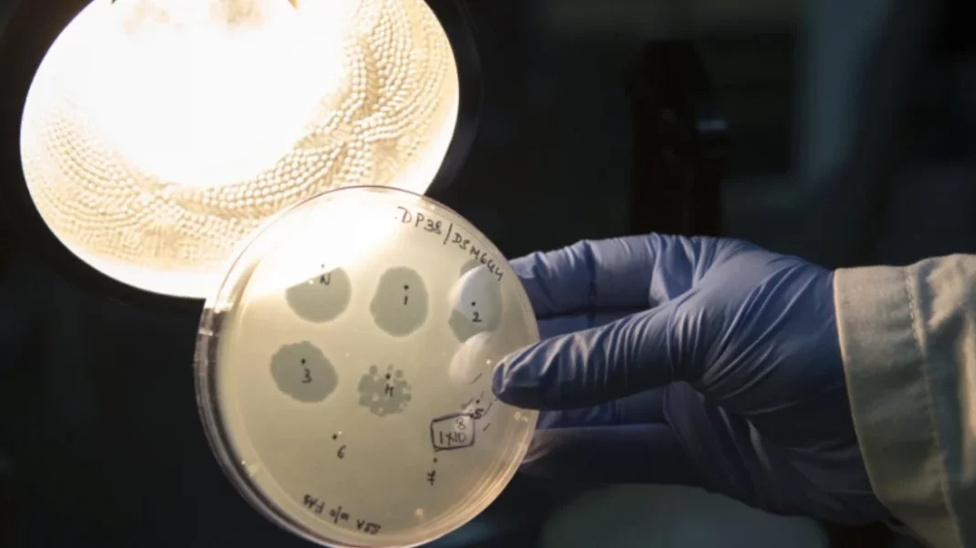 AI-Designed Viruses: A Medical Breakthrough or a New Biosecurity Challenge?